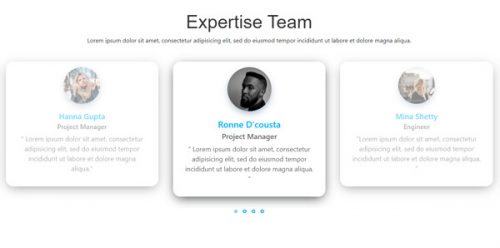 Experto –  MultiPurpose and Multi Team Widget