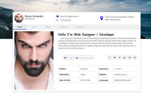 Web Designer Fresher