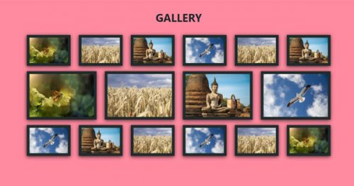 Shell – Wall Frame Gallery Widget